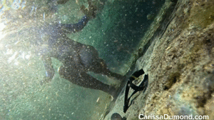 www.carissadumond.com - Carissa Dumond removes her Ultra Girl suit underwater at the public spring thumbnail